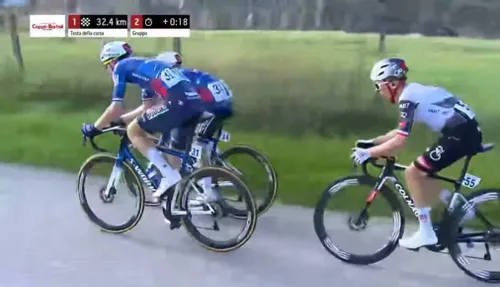 Eenkhoorn in de vlucht met Majka