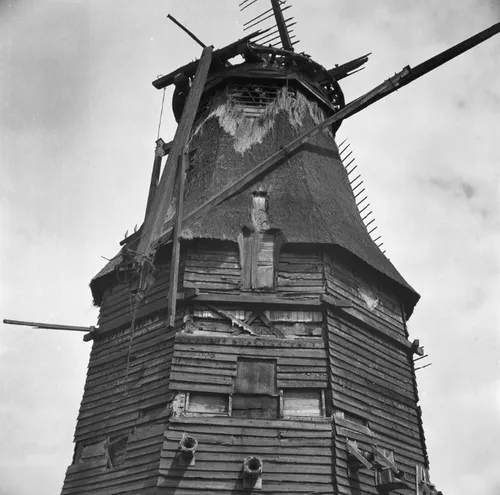 18274756 851466178337286 4189477605892277237 n