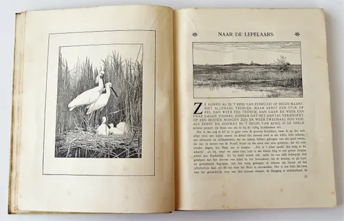 20151025het naardermeer01