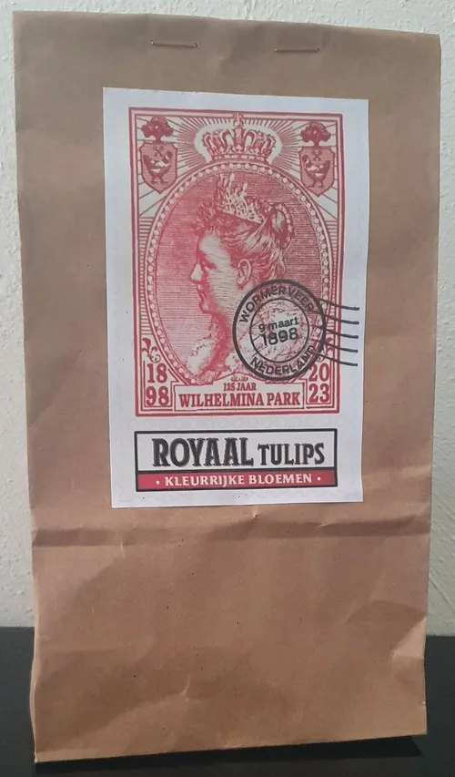 305572579 3284499645172999 4757366051005118703 n