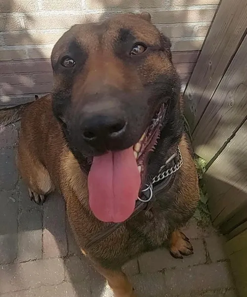 403728574 663014759300409 4554110362235708626 n