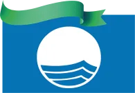 bv logo groenewimpel