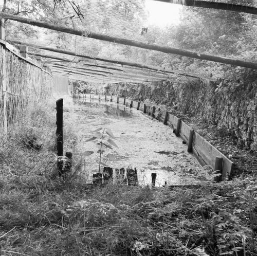 eendenkooi2c overzicht engwierum 20069984 rce