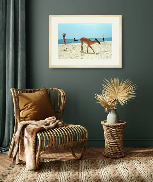 fotocredits martijn van de griendt deer on beach sfeer