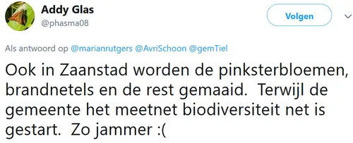 screenshot 2019 06 03 addy glas op twitter ook in zaanstad worden de pinksterbloemen brandnetels en de rest gemaaid terwij