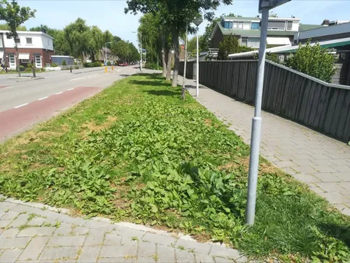 screenshot 2019 06 03 facebook