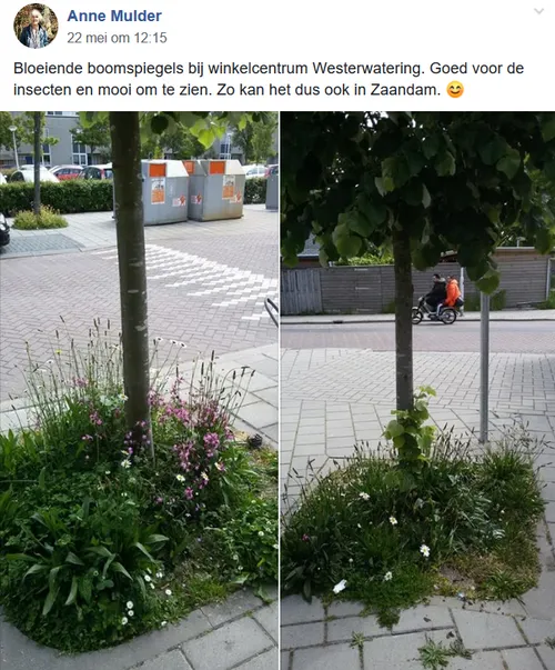 screenshot 2019 06 03 groenzaans houd en maak zaanstad groen1