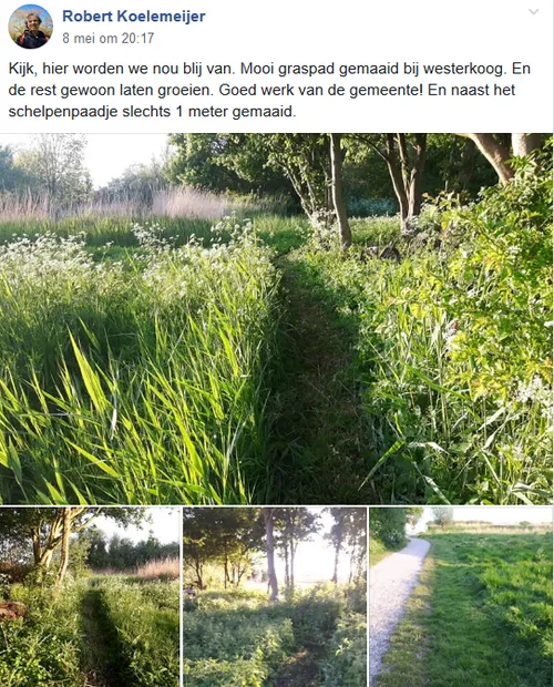 screenshot 2019 06 03 groenzaans houd en maak zaanstad groen4