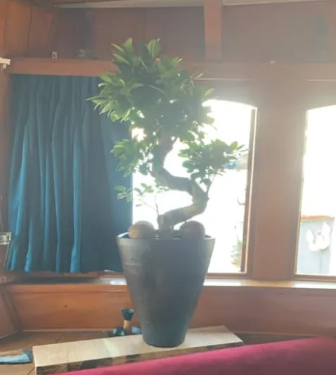 screenshot 2019 06 04 wormerveer