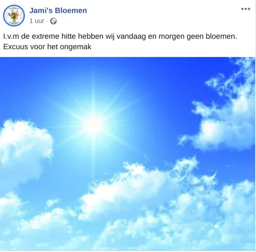 screenshot 20190724 110938