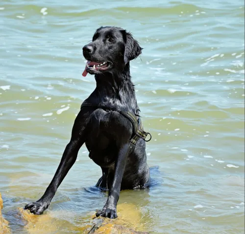 screenshot 20190730 144717