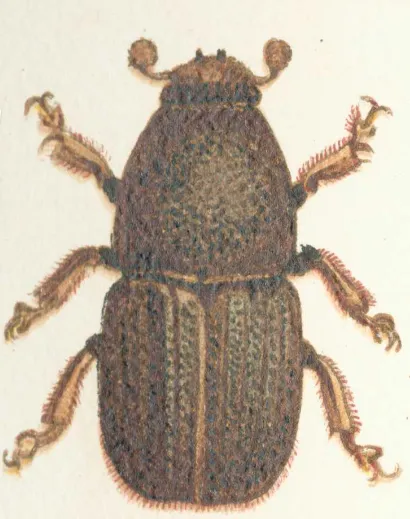 screenshot 20190806 082647