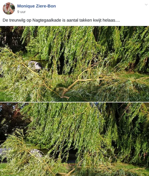 screenshot 20190811 062601