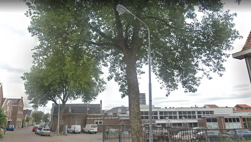 screenshot 20190814 115935