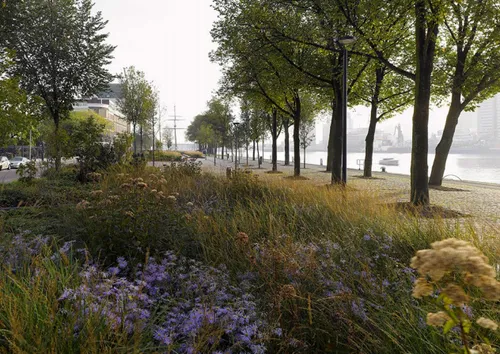 screenshot 20190907 132119