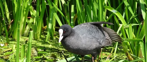 screenshot 20190923 163127