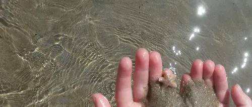 screenshot 20190923 163228