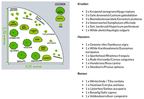 screenshot 20191025 155748