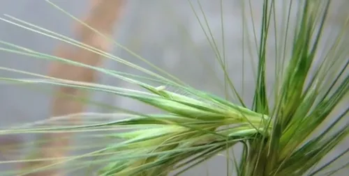 screenshot 20191115 113702