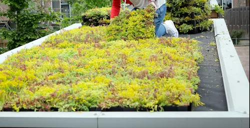 screenshot 20200224 145727