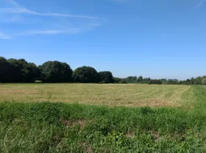 screenshot 20200228 105558