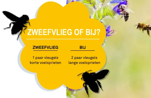 screenshot 20200417 175223