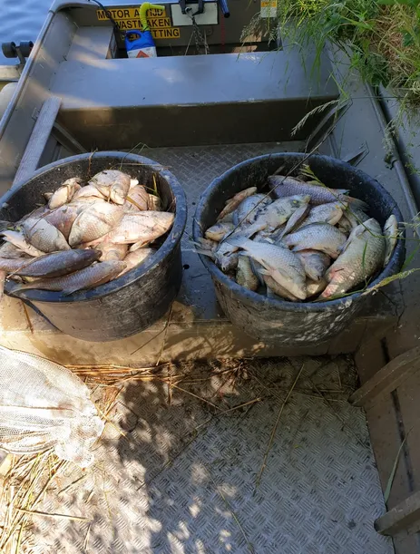 screenshot 20200603 165205