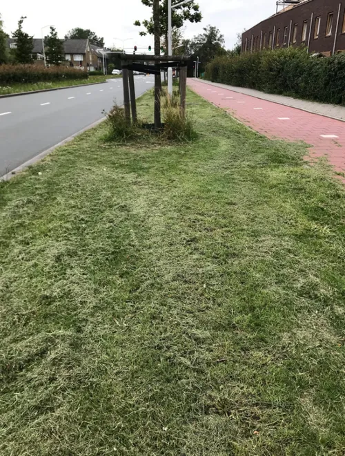 screenshot 20200716 161844