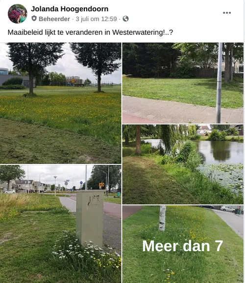 screenshot 20200716 162739