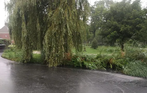 screenshot 20200817 152859