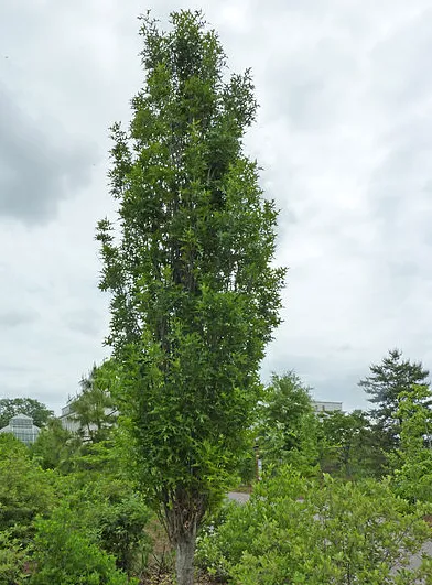 screenshot 20200827 161036