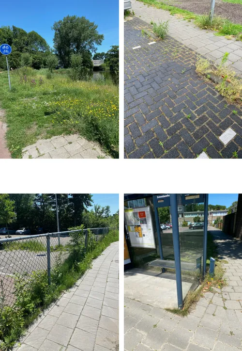 screenshot 20200916 153846