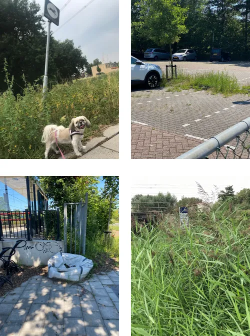 screenshot 20200916 153908