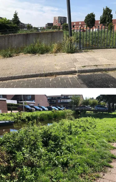 screenshot 20200916 154033