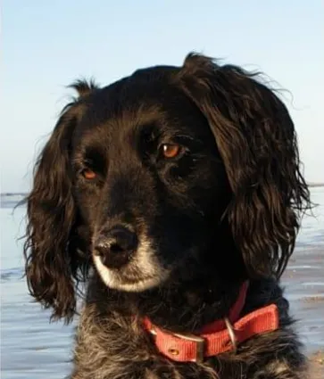 screenshot 20201009 112304