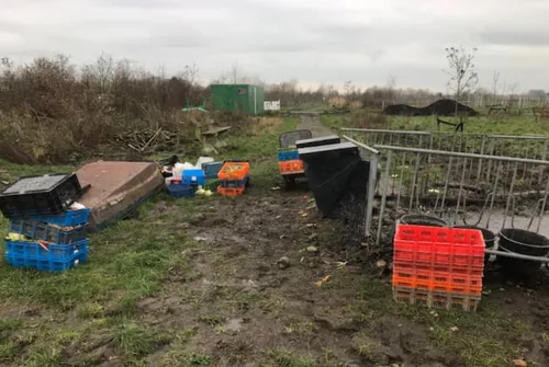 screenshot 20201203 103437