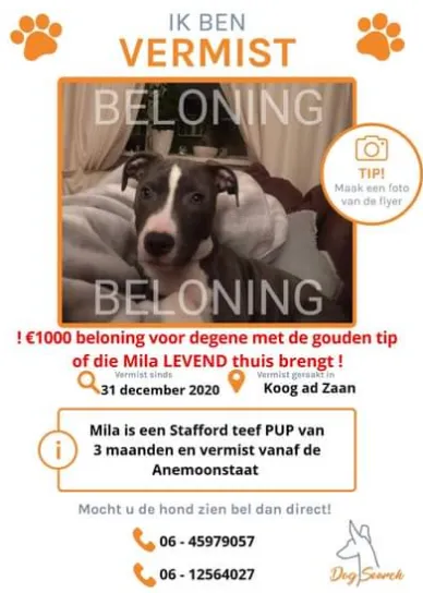 screenshot 20210104 101430