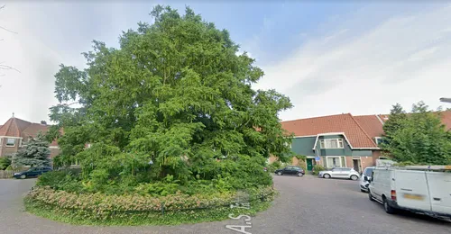 screenshot 20210308 082041