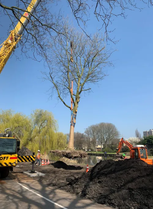 screenshot 20210404 091159