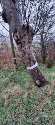 screenshot 20210408 120529