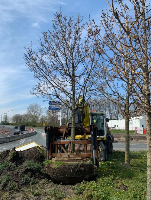 screenshot 20210430 122500