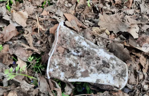 screenshot 20210503 100849