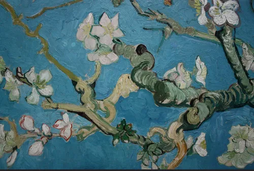 screenshot 20210507 142025