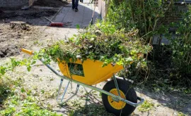 screenshot 20210511 160502