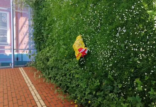 screenshot 20210618 164746