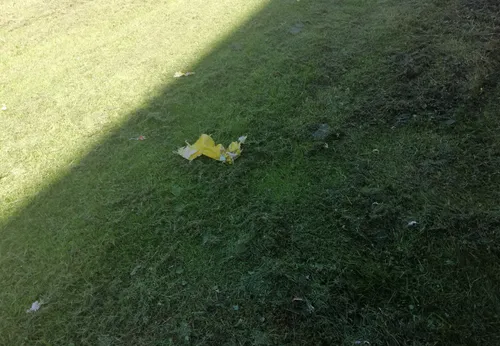 screenshot 20210618 164809