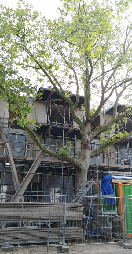 screenshot 20210702 141034