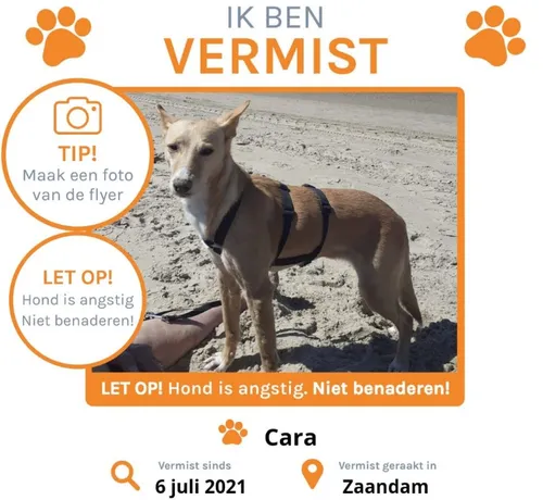 screenshot 20210706 160814