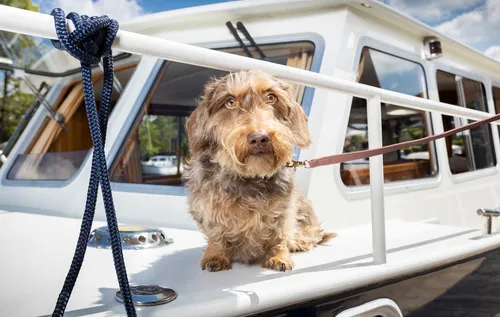 screenshot 20210715 111014