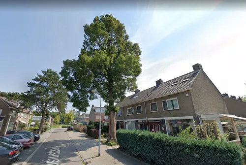 screenshot 20210715 170241